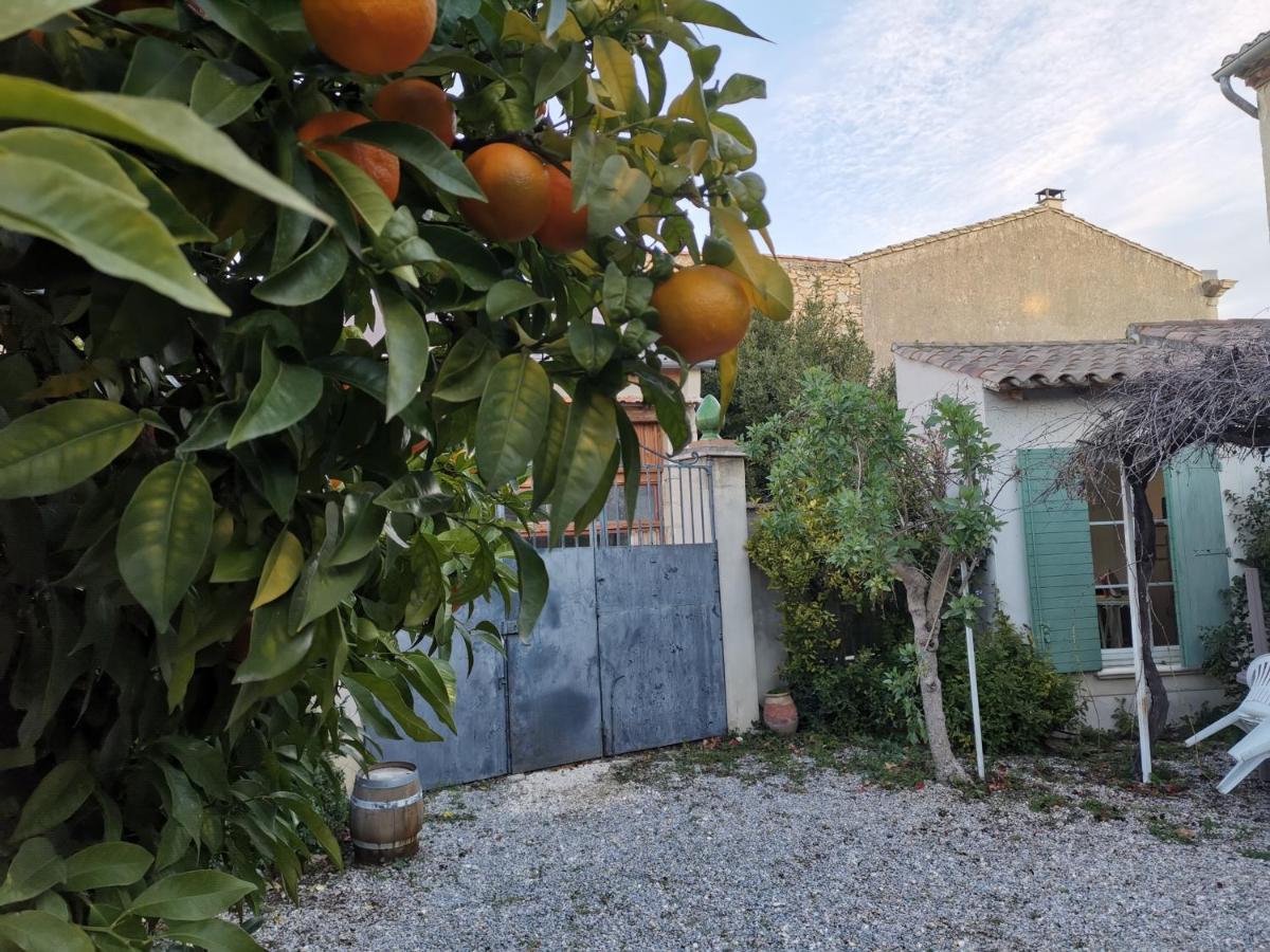 Villa La Taniere Vergèze Exterior foto