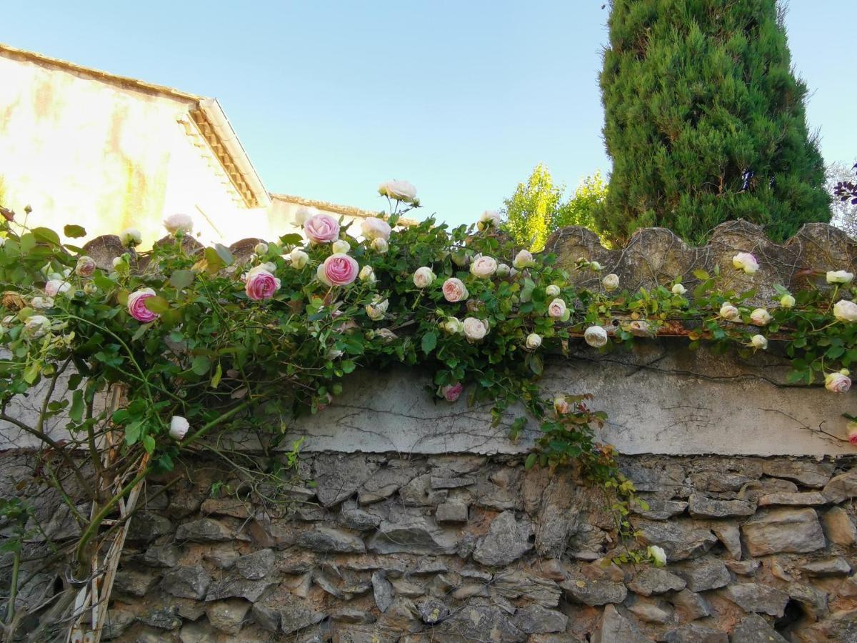 Villa La Taniere Vergèze Exterior foto